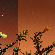 <font class="tempImageTitleThumbText">Venus-Jupiter Conjunction 30/03 & 01/04</font><br>Peter Lowenstein<br>May 2 11:50am<br>Mutare, Zimbabwe