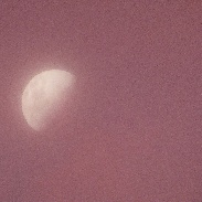 <font class="tempImageTitleThumbText">Waxing Moon & Sunset Clouds</font><br>Peter Lowenstein<br>Dec 28 9:24am<br>Mutare, Zimbabwe