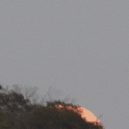 <font class="tempImageTitleThumbText">Full Buck Moonrise</font><br>Peter Lowenstein<br>Jul 31 8:53pm<br>Mutare, Zimbabwe