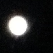 <font class="tempImageTitleThumbText">Venus</font><br>Peter Margie<br>Jul 17 10:02am<br>Bethlehem, pa