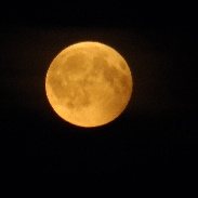 <font class="tempImageTitleThumbText">Lunar Eclipse</font><br>Peter Paul Hattinga Verschure<br>Aug 11 8:48am<br>Deventer, Netherlands