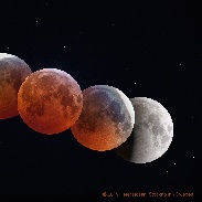 <font class="tempImageTitleThumbText">Lunar Eclipse</font><br>Peter Rosén<br>Jan 23 12:16am<br>Central Stockholm, Sweden