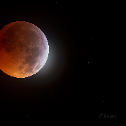 <font class="tempImageTitleThumbText">Lunar Eclipse Begins</font><br>Petr Horálek<br>Jan 21 10:07pm<br>Boa Vista, Cape Verde