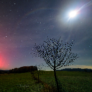 <font class="tempImageTitleThumbText">Mid-Europe Aurora!</font><br>Petr Horálek<br>Nov 12 5:24am<br>Benešov nad Černou, Czech Rep