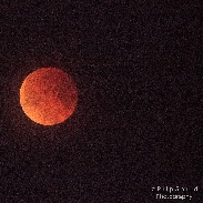 <font class="tempImageTitleThumbText">Lunar Eclipse</font><br>Philip Granrud<br>Jan 31 6:56pm<br>Kalispell, Montana