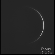 <font class="tempImageTitleThumbText">Venus 08-09-23 At 3:04 Pm EST @ 47°</font><br>Philip Smith<br>Aug 11 2:05am<br>Manorville, NY USA