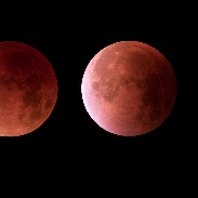 <font class="tempImageTitleThumbText">Lunar Eclipse</font><br>Philippe Van den Doorn<br>Sep 28 4:38pm<br>Rixensart - Belgium