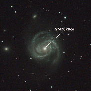 <font class="tempImageTitleThumbText">Supernova In Messier 100</font><br>Pierre Ponsard<br>Jan 23 3:09pm<br>La Fosse (Belgium)