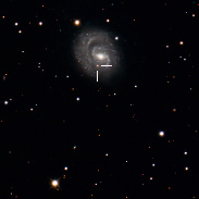 <font class="tempImageTitleThumbText">Supernova SN2025pht In NGC1637 Galaxy</font><br>Pierre Ponsard<br>Sep 25 11:19pm<br>La Fosse Observatory (Belgium)