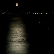 <font class="tempImageTitleThumbText">Moonrise Over The Gulf Of Salerno</font><br>Pietro De Gregorio<br>Jul 4 12:17pm<br>Massalubrense,Naples,Italy