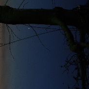 <font class="tempImageTitleThumbText">Conjunction Venus Mercury</font><br>Pinciroli Lisa<br>Jan 11 7:31pm<br>Malpensa Airport near Milano It