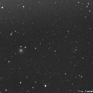 <font class="tempImageTitleThumbText">NEOWISE (C/2016 N1 )</font><br>Piotr Dzikowski<br>Dec 28 9:15am<br>Mayhill, New Mexico 