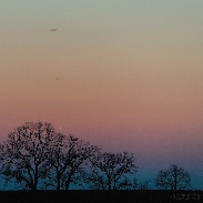 <font class="tempImageTitleThumbText">Venus-Mercury Side By Side</font><br>Piotr Majewski<br>Mar 5 12:20am<br>Świerczyny near Toruń