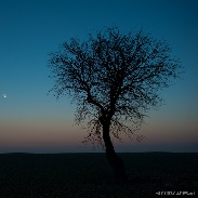 <font class="tempImageTitleThumbText">Venus, Mars And Moon</font><br>Piotr Potepa<br>Feb 20 7:53pm<br>Toruń, Poland