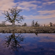 <font class="tempImageTitleThumbText">West Venus</font><br>Piotr Wieczorek<br>Mar 17 11:52am<br>Rogalin, Poland