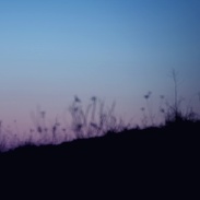 <font class="tempImageTitleThumbText">Venus & Merkury</font><br>Piotr Wieczorek<br>Mar 4 6:23pm<br>Bydgoszcz, Poland