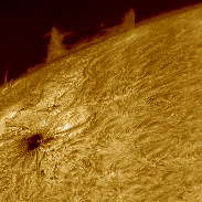 <font class="tempImageTitleThumbText">Solar Chromosphere In High Resolution</font><br>philippe tosi<br>May 28 2:20pm<br>FRANCE-Nîmes
