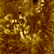 <font class="tempImageTitleThumbText">Solar Chromosphere In High Resolution</font><br>philippe tosi<br>May 29 2:05pm<br>FRANCE-Nîmes