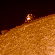 <font class="tempImageTitleThumbText">Solar Chromosphere In High Resolution</font><br>philippe tosi<br>May 22 1:36pm<br>FRANCE-Nîmes