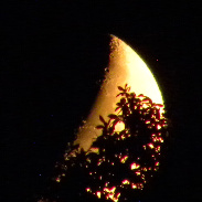 <font class="tempImageTitleThumbText">Moon Rushes On!</font><br>R.T. Smith<br>Aug 19 4:02pm<br>Stoneville,NC