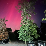 <font class="tempImageTitleThumbText">Auroras</font><br>RIchard Larsen<br>Oct 11 3:13am<br>Colts Neck, NJ, USA