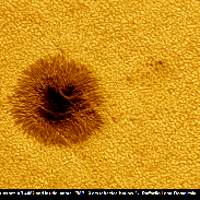 <font class="tempImageTitleThumbText">Inside Sunspot  AR 4482 July 11 2026</font><br>Raffaello Lena<br>Jul 11 7:03pm<br>Rome Italy