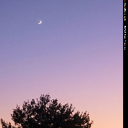 <font class="tempImageTitleThumbText">Venus, Moon And Jupiter </font><br>Raffaello Lena<br>Jun 18 4:31pm<br>Rome Italy