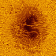 <font class="tempImageTitleThumbText">Sunspot AR 4478 Movement</font><br>Raffaello Lena<br>Jul 13 4:12pm<br>Rome Italy