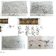 <font class="tempImageTitleThumbText">Mars. Maps To Comparison</font><br>Raffaello Lena<br>Jun 19 1:08pm<br>Rome Italy