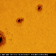 <font class="tempImageTitleThumbText">Sunspots AR4446- 4449-4448</font><br>Raffaello Lena<br>May 28 8:13am<br>Rome Italy
