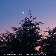 <font class="tempImageTitleThumbText">Venus And The Crescent Moon At Sunset</font><br>Raffaello Lena<br>Jul 17 7:40pm<br>Rome Italy