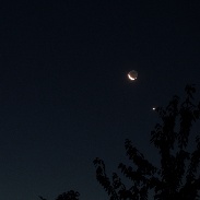 <font class="tempImageTitleThumbText">Moon, Venus And Mars In The Morning Sky</font><br>Rainer Wagner<br>Sep 12 9:50pm<br>Jülich ,  germany