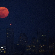 <font class="tempImageTitleThumbText">Full Moon</font><br>Raitis Freimanis<br>Mar 4 6:29pm<br>The Hague NETHERLANDS 