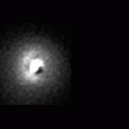 <font class="tempImageTitleThumbText">Comet Neowise Spiral Structure- Rotation </font><br>Ralf Vandebergh<br>Jul 24 1:31pm<br>The Netherlands