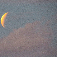 <font class="tempImageTitleThumbText">Full Moon / Lunar Eclipse</font><br>Randall Bruner<br>Aug 29 1:53am<br>Seaview subdivision, lower Puna
