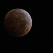 <font class="tempImageTitleThumbText">Lunar Eclipse 10-8-14 (Camera View Vs. Ey</font><br>Randy Hogue<br>Oct 8 10:45pm<br>Portland, Oregon