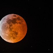 <font class="tempImageTitleThumbText">Total Lunar Eclipse</font><br>Randy Paylor<br>Jan 21 8:28pm<br>Henderson, NV
