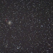<font class="tempImageTitleThumbText">Supernova NGC 5643</font><br>Ray Pickard<br>Mar 29 11:05am<br>Bathurst Observatory Research F
