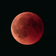 <font class="tempImageTitleThumbText">Lunar Eclipse</font><br>Raymond Kneip<br>Jul 27 11:38pm<br>Contern, Luxembourg