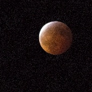 <font class="tempImageTitleThumbText">Blood Red Lunar Eclipse</font><br>Rebecca Davis<br>Jan 23 3:24am<br>Windermere, Florida USA