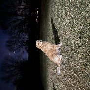 <font class="tempImageTitleThumbText">Pisces, Jupiter, Venus (and A Very Handso</font><br>Rebecca Widdick<br>Feb 28 2:36pm<br>Brighton, MI