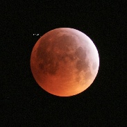 <font class="tempImageTitleThumbText">Lunar Eclipse (Wolf Moon)</font><br>Reinhard Kaltenböck<br>Jan 25 1:40am<br>Emmerich am Rhein, NRW, Germany
