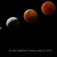 <font class="tempImageTitleThumbText">Lunar Eclipse</font><br>Renier Siebrits<br>Jul 27 8:36pm<br>Cape Town