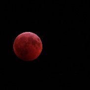<font class="tempImageTitleThumbText">Total Lunar Eclipse, January 20-21, 2019</font><br>Ric Babcock<br>Jan 21 4:17pm<br>Palmetto Bay, Fl. 33158