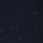 <font class="tempImageTitleThumbText">Nova Lupi 2025</font><br>Ricardo Kuehn<br>Jun 19 4:16am<br>Salvador, Bahia, Brazil