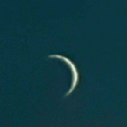 <font class="tempImageTitleThumbText">Venus Crescent 3 Days Before Inferior Con</font><br>Richard Abraham<br>Mar 21 8:56am<br>Eastbourne, UK