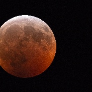 <font class="tempImageTitleThumbText">Lunar Eclipse</font><br>Richard Bell<br>Jan 21 5:22am<br>Kalamazoo, MI