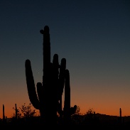 <font class="tempImageTitleThumbText">Jupiter - Venus Conjunction</font><br>Richard Dickson<br>Aug 28 2:21pm<br>South of Casa Grande, Arizona