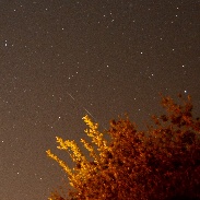 <font class="tempImageTitleThumbText">Geminid</font><br>Richard Hay<br>Dec 14 7:27am<br>Just south of Jacksonville, Flo
