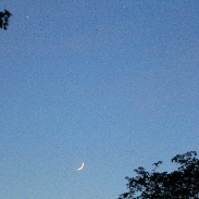 <font class="tempImageTitleThumbText">Venus & Crescent Moon</font><br>Richard<br>Jun 18 9:47pm<br>Worthington, OH